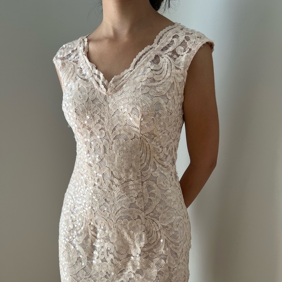 Le Chateau nude sequin lace midi dress - Picture 4 of 5